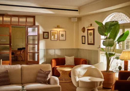 Room and lounge with cushioned sofas and plants along the room