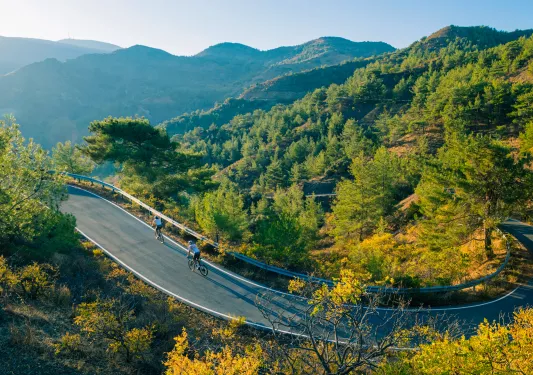 Group of people biking on an empty road with a forest in the background