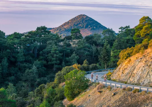 Group of people biking on an empty road with a forest in the background