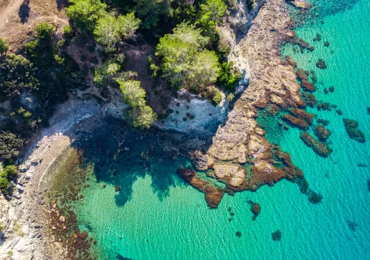 Sky view of a beach shore with trees and large cliffs