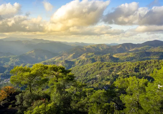 Sky view of a large forest with mountains in the distance