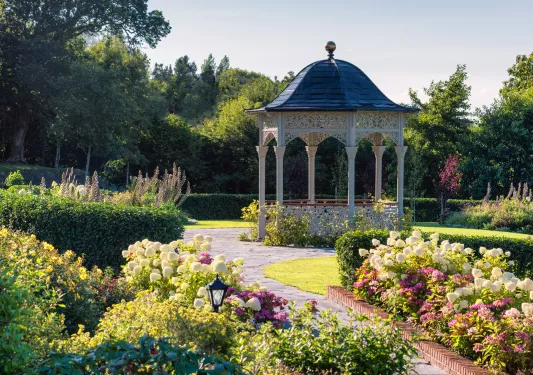 Garden with white and pink flowers 