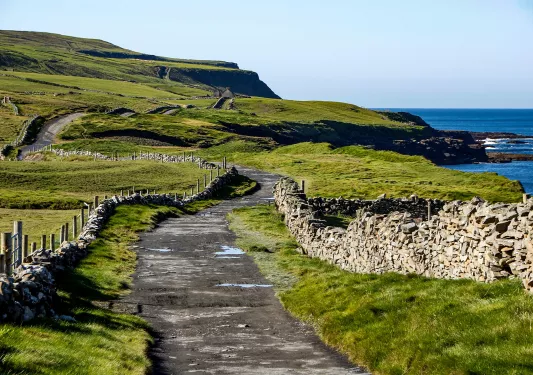 Dirt trail surrounded by grassy fields with the ocean to the right
