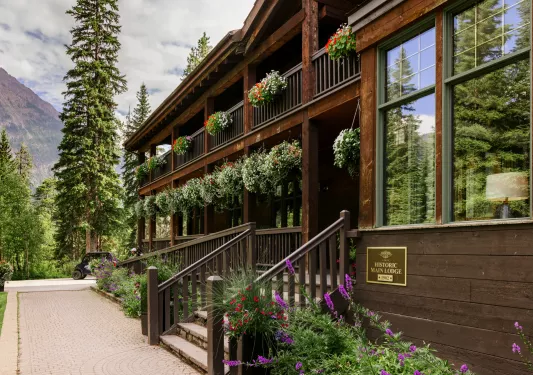 Exterior view of cabin lodge building, with hanging plants and tall trees