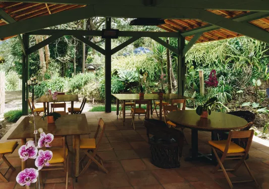 Outdoor patio with wooden tables and chairs, with large plants in the background