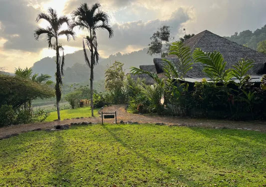 Straw hut building with a grass field and tall palm trees in front
