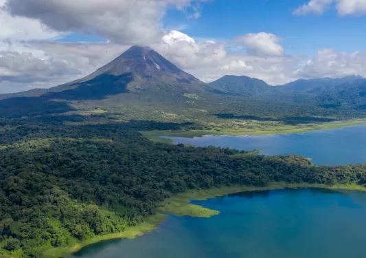 Sky view of forest surrounded by a large lake