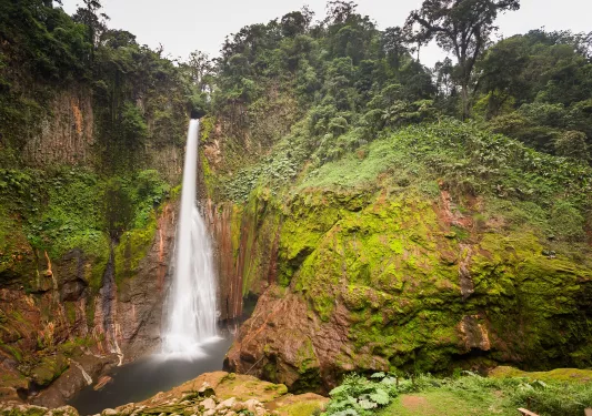 Waterfall in the middle of a forest, surrounded by green trees