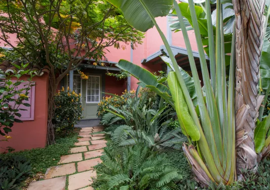 Exterior view of pink house with large plants in front