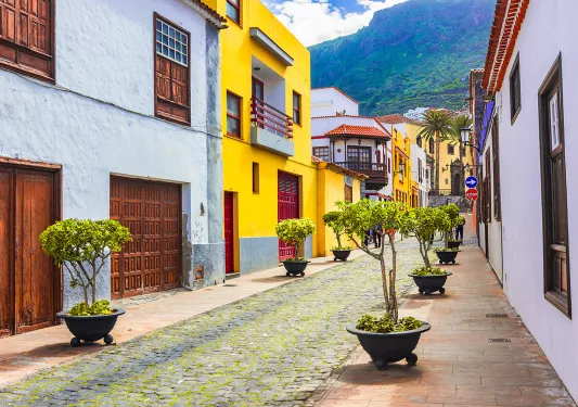 Alleyway with colorful houses and plants along a brick road