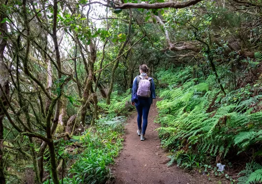 Woman walking on a dirt trail, surrounded by tall trees and plants