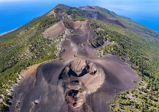 Sky view of dried mountain with lost of tall trees surrounding it