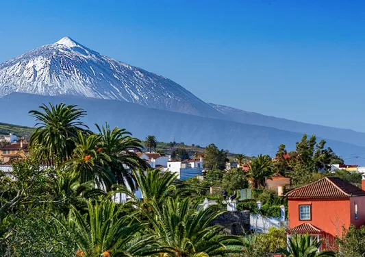 Wide shot of a town surrounded by tall trees and a snow-capped mountain in the distance
