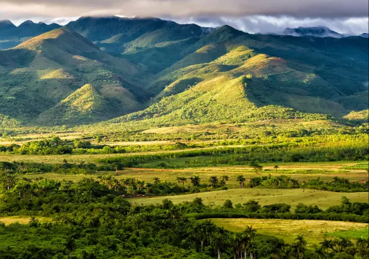 Grassy valley full of trees and large hills in the distance
