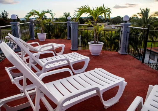 White reclining chairs on a red roof looking at palm trees