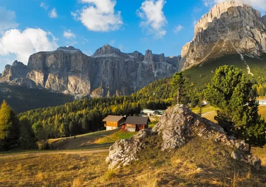 Grassy hill with a house and a forest and mountains in the background