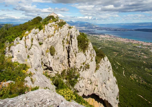Large cliff covered with plants and small trees