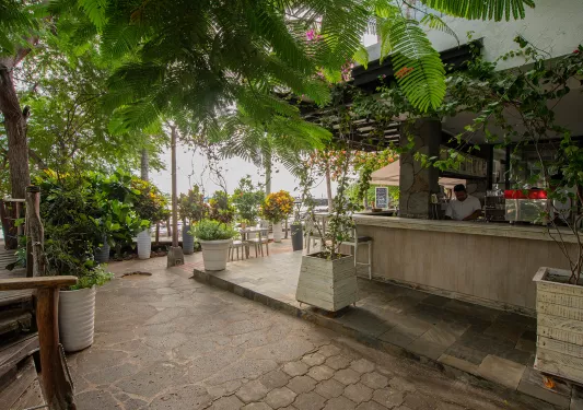 Outdoor garden and patio with a bar counter to the right