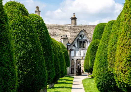 Long path leading to a cabin building, surrounded by trimmed trees