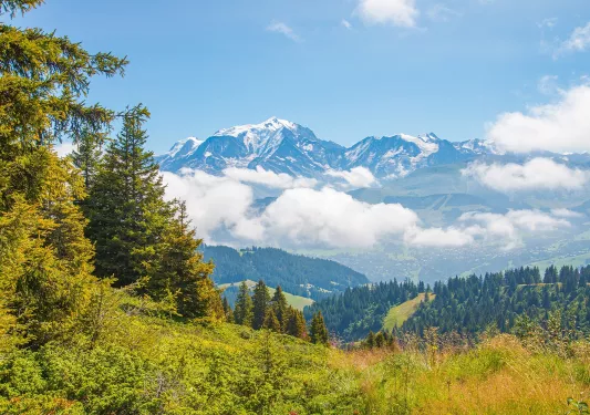Large grassy hill with mountains and more mountains in the distance