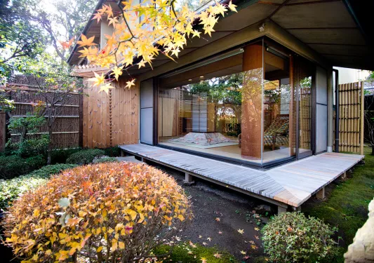 Exterior view of building with large windows, surrounded by plants and leaves