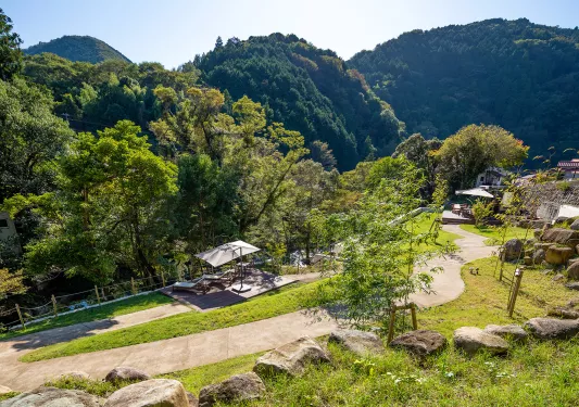 Outdoor view of a trail surrounded by tall trees and hills
