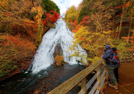 Two people standing on a ledge, looking out towards a waterfall surrounded by orange and yellow trees