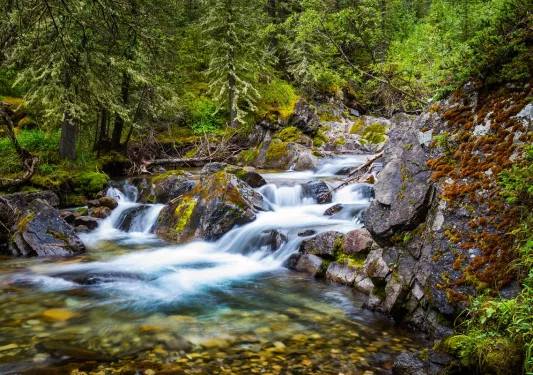 Small waterfall in the middle of a river in a forest