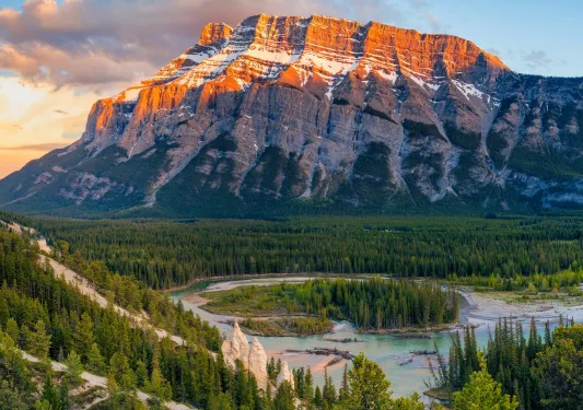Large forest with snowcapped mountains in the distance