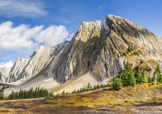 Tall mountains with trees and dried pastures on the ground floor