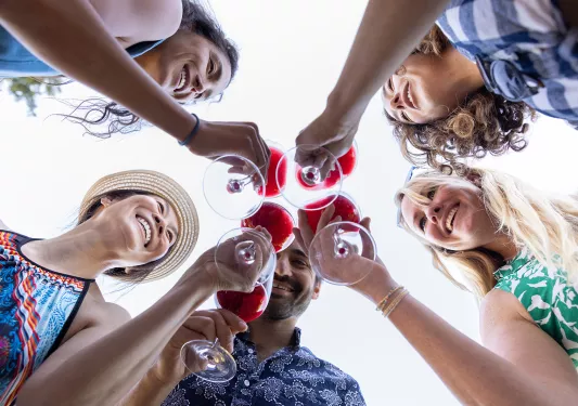Group of people clinking their glasses of wine
