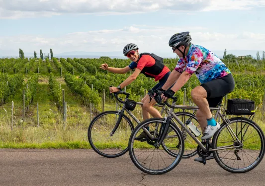 Two men smiling while riding bicycles on a road along a vineyard