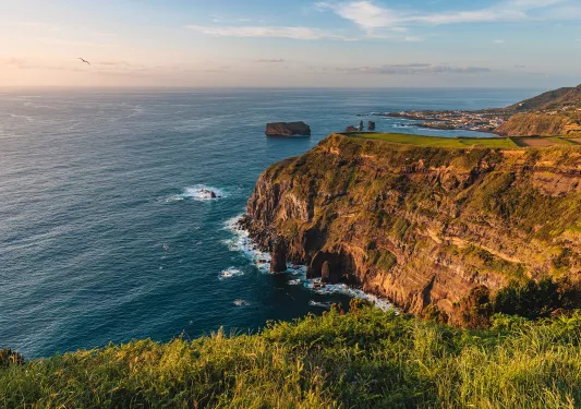 Grassy cliff overlooking the ocean