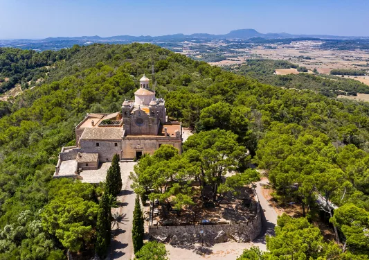 Castle-like church building on top of a hill, surrounded by tall trees