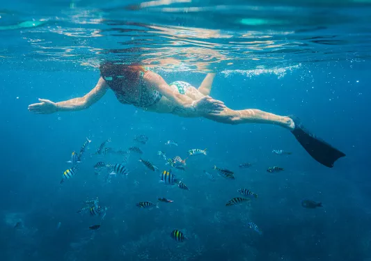 Woman snorkeling in the ocean, with a sea of fish underneath