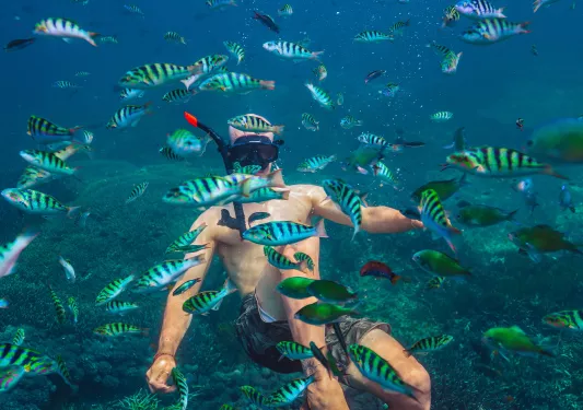 Man underwater swimming with a school of fish