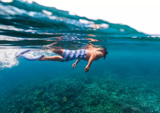 Man swimming in the ocean, looking at a coral reef underneath