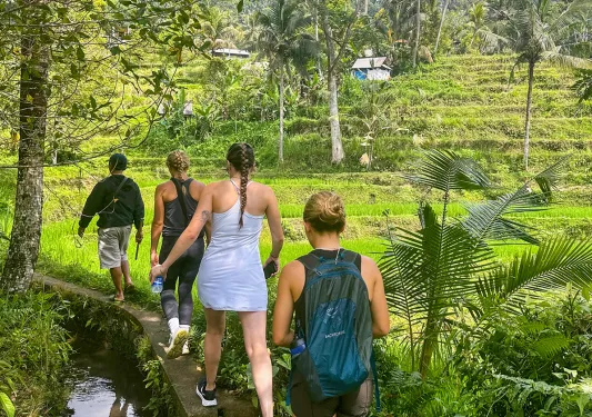 Group of women hiking towards an open valley of grass and plants