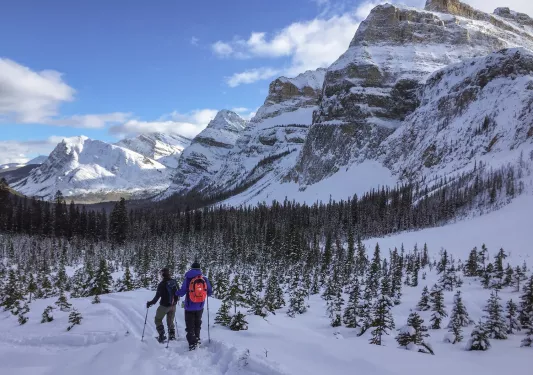 Two people snowshoe a snowy mountain trail