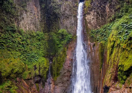Waterfall in the middle of a forest with tall cliffs