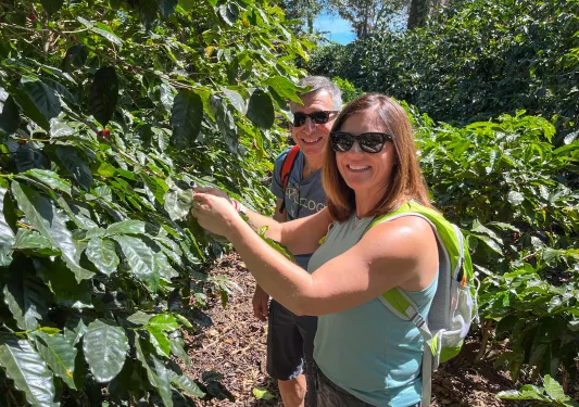 Man and woman wearing sunglasses, smiling while picking berries