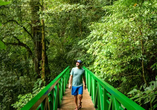 Man walking on a green bridge in the middle of a jungle