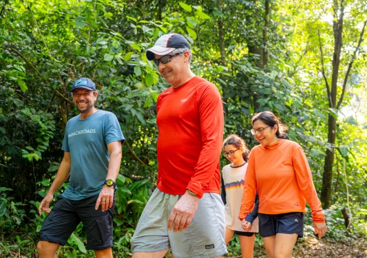 Two men and two women walking as a group in a forest
