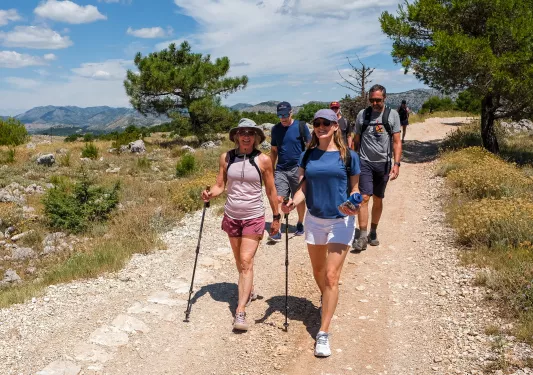 Group of men and women hiking on a dirt, rocky trail with trees surrounding them