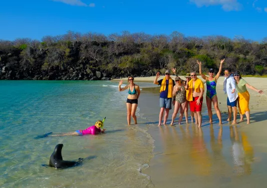 Group of people standing and laughing on the beach, with a seal by the shore