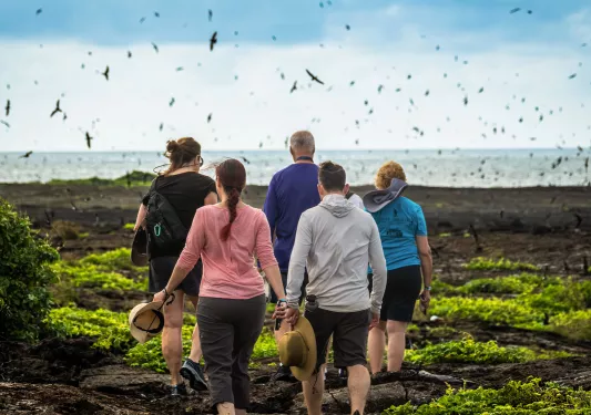 Group of men and women walking on a dirt path towards the ocean, with flocks of birds in the sky