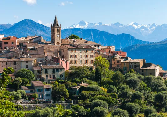 Rustic, European town buildings surrounded by tall trees