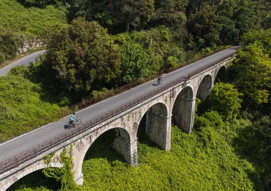 Tall bridge over a forest with two people riding bikes on the bridge