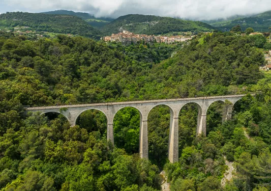 Large stone bridge with people biking, with a large forest on the ground floor