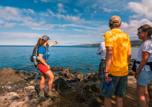 Group of people walking on an ocean shore, pointing towards a distant island